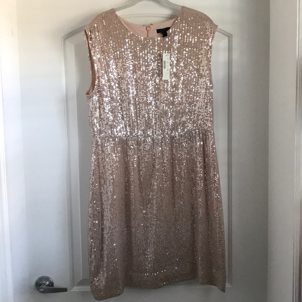 NEW w/tags J.Crew blush and silver sequin dress
